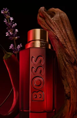 BOSS The Scent Elixir parfum intense 100ml