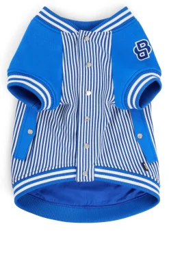 Dog bomber jacket with embroidered logo