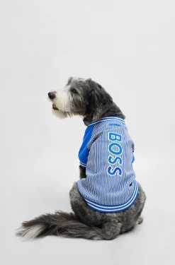 Dog bomber jacket with embroidered logo