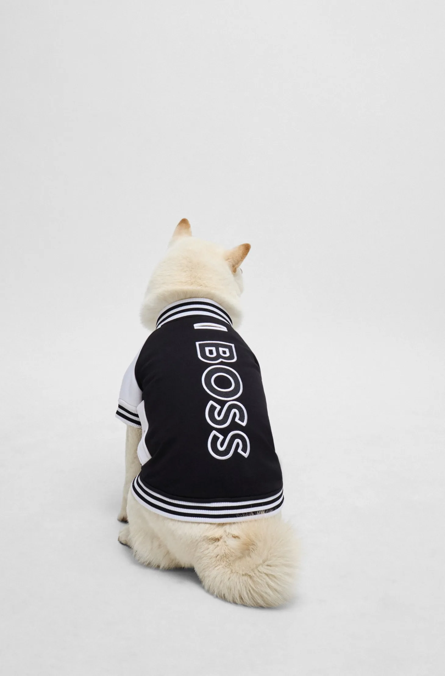 Dog bomber jacket with embroidered logo
