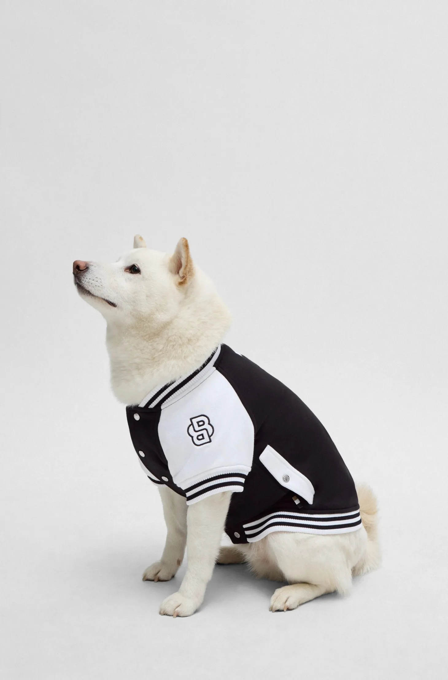 Dog bomber jacket with embroidered logo