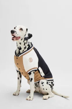 Dog bomber jacket with embroidered logo