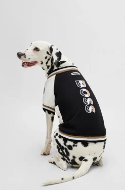 Dog bomber jacket with embroidered logo