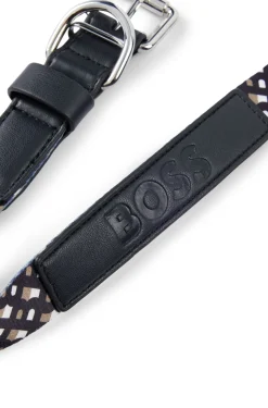 Dog collar with metal hardware