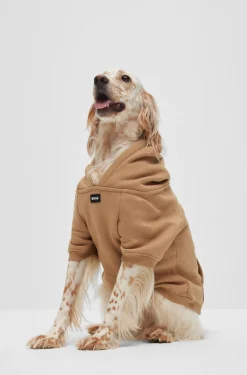 Dog hoodie in a cotton blend with contrast logo