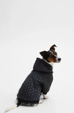 Dog hoodie with monogram pattern