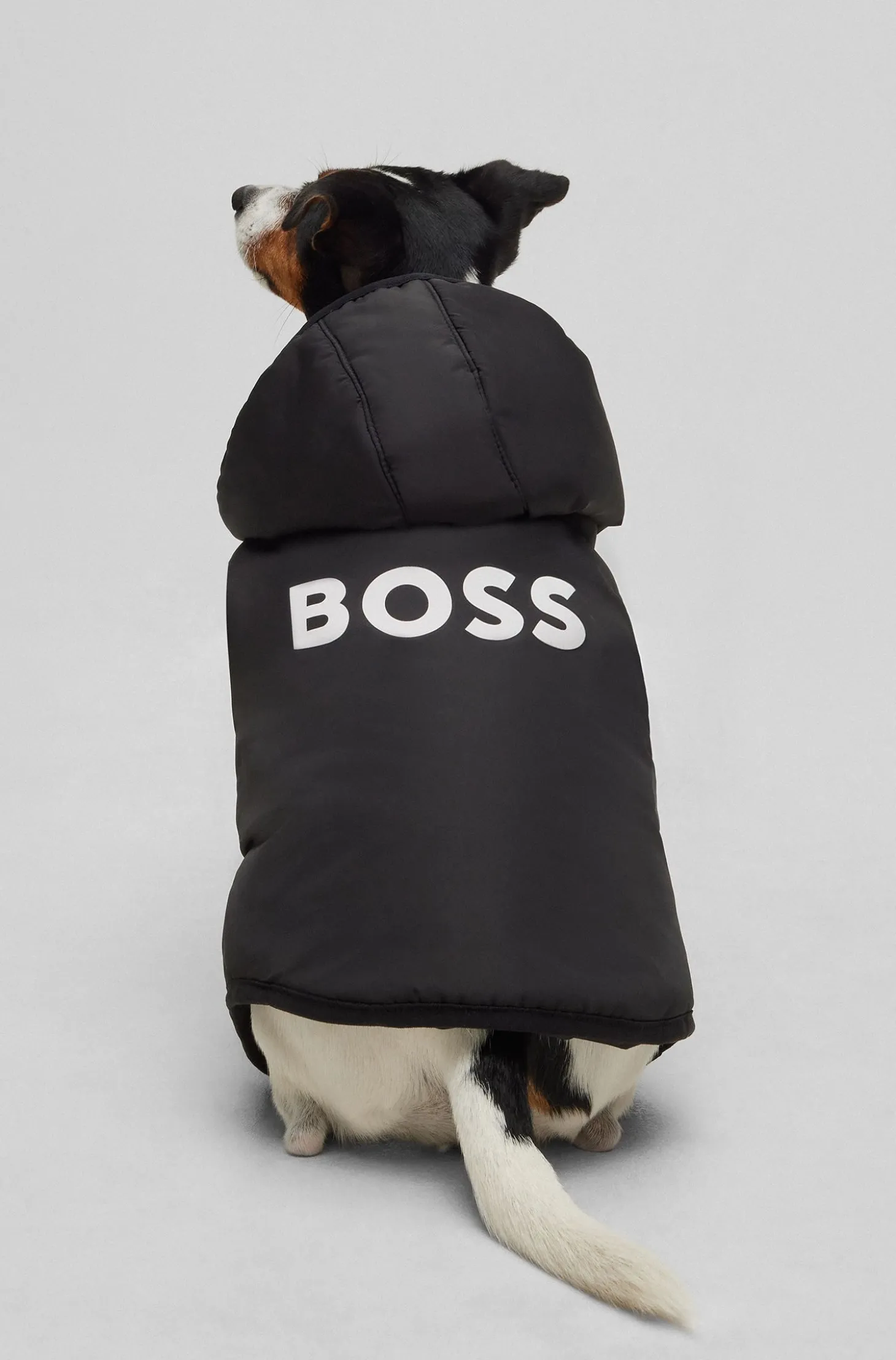 Dog lightweight jacket with logo detailing