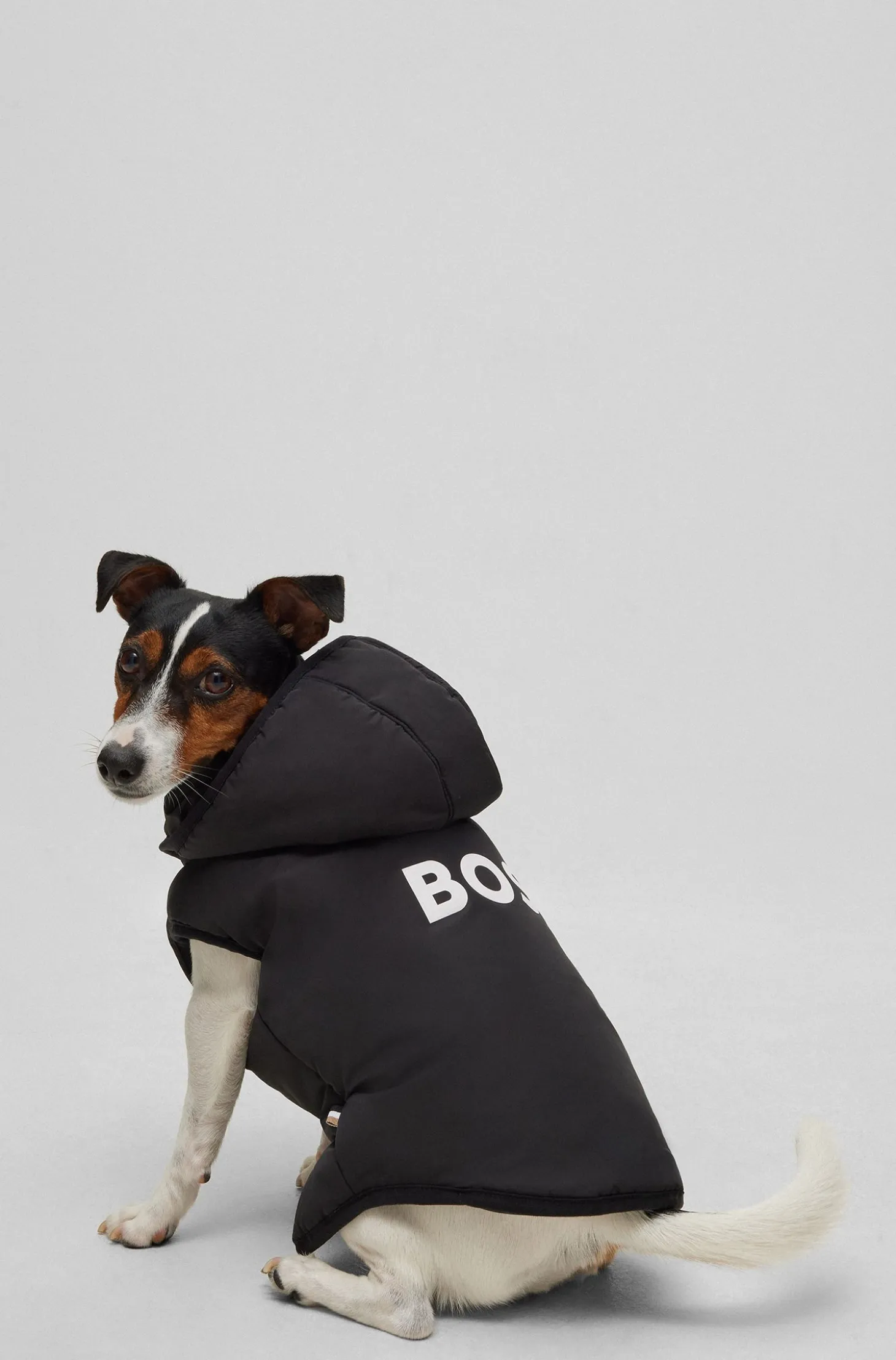 Dog lightweight jacket with logo detailing