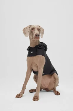 Dog raincoat in waterproof fabric with contrast logo