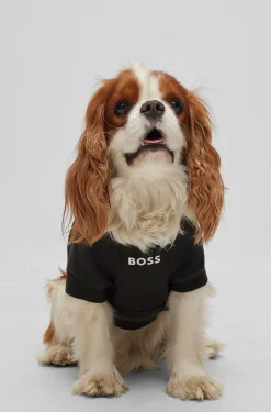 Dog sweater in a cotton blend