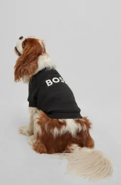 Dog sweater in a cotton blend