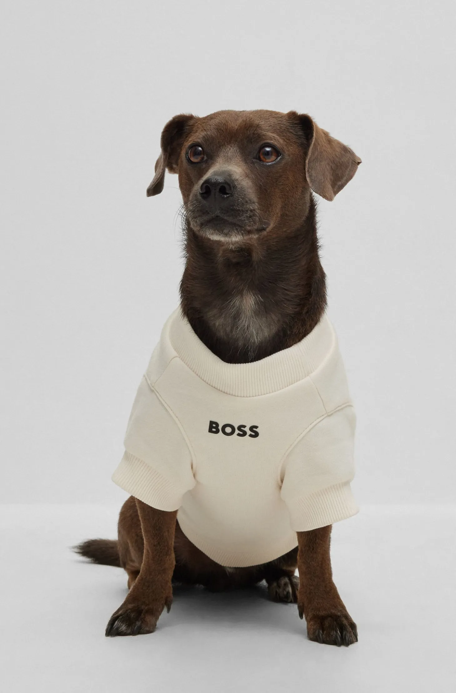Dog T-shirt in a cotton blend with logo