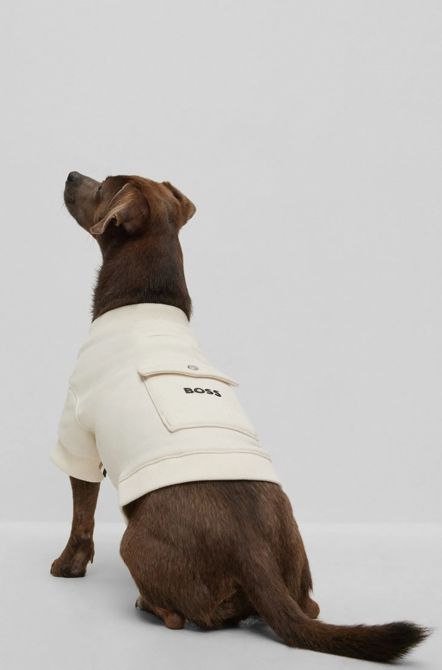 Dog T-shirt in a cotton blend with logo
