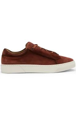 Gary trainers in suede with elastic lacing system