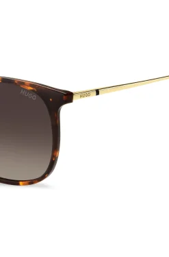 Havana sunglasses with gold-tone temples