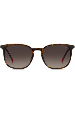 Havana sunglasses with gold-tone temples