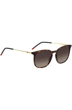 Havana sunglasses with gold-tone temples
