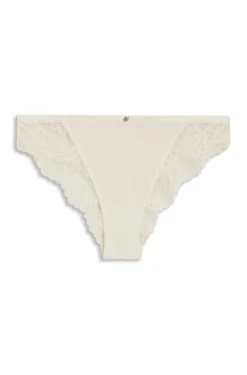Lace briefs with mesh pleating details