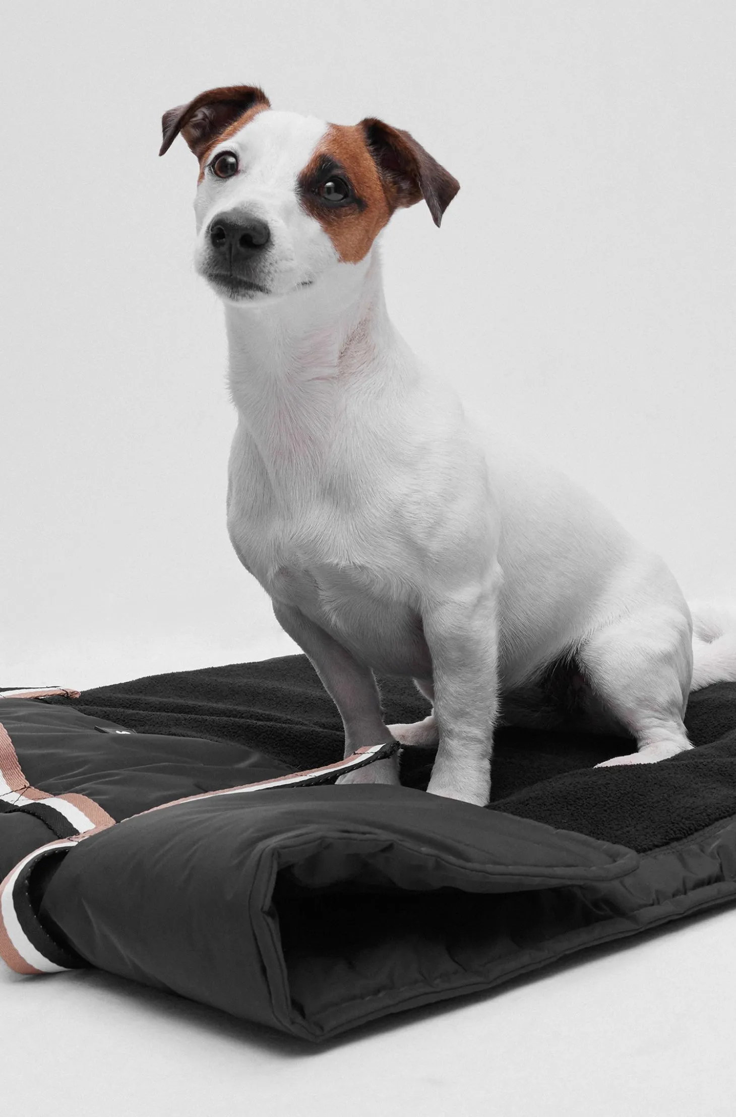 Portable dog mat with sherpa lining