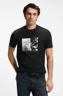 Regular-fit T-shirt in lightweight cotton jersey