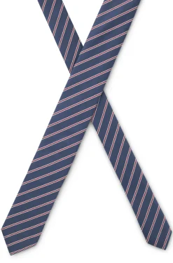 Silk tie with diagonal stripe